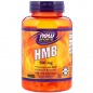  NOW HMB 500  120 