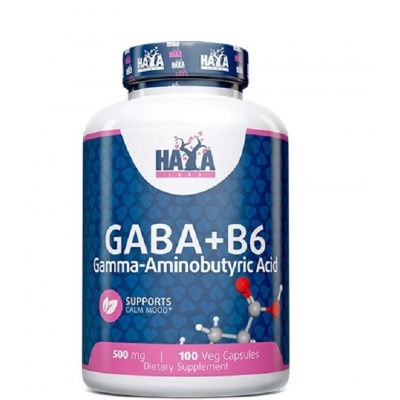  Haya Labs GABA+B6 100 